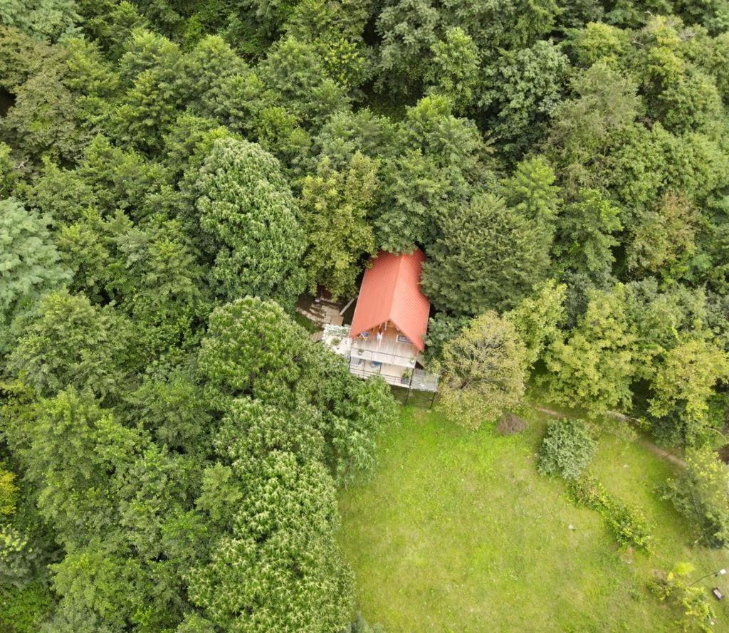 Cottage Sataplia Kutaisi Exterior photo